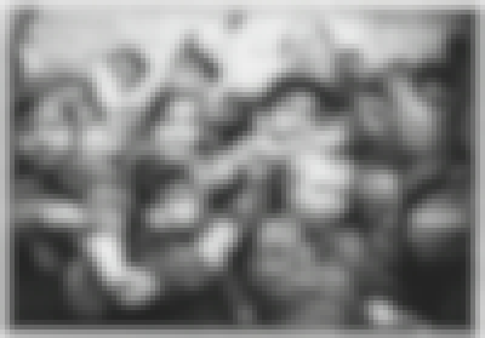 Lapsia Auschwitzissa Lapsia Auschwitzissa
