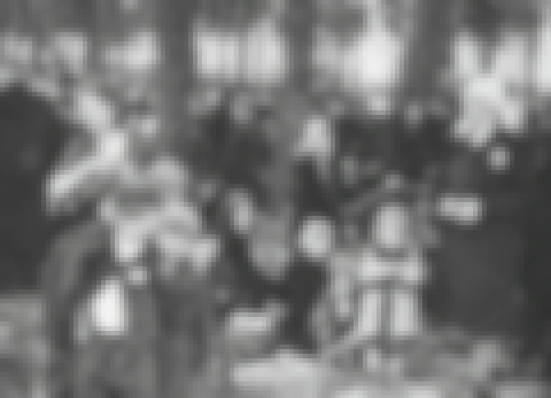 Ungarske jøder i Auschwitz Ungarske jøder i Auschwitz