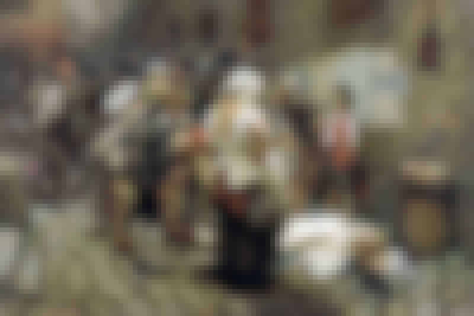 Prinsessan de Lamballe slogs ihjäl med en hammare och styckades därefter. Prinsessan de Lamballe slogs ihjäl med en hammare och styckades därefter.