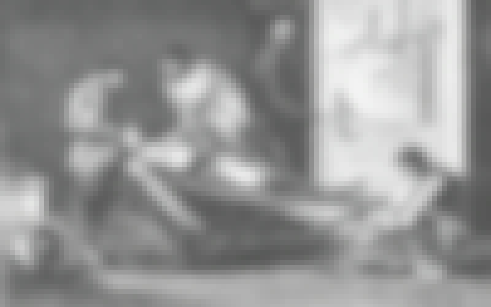 Galen var ansat som kirurg ved et amfiteater, hvor hans viden om anatomi kom til sin ret. Galen var ansat som kirurg ved et amfiteater, hvor hans viden om anatomi kom til sin ret.