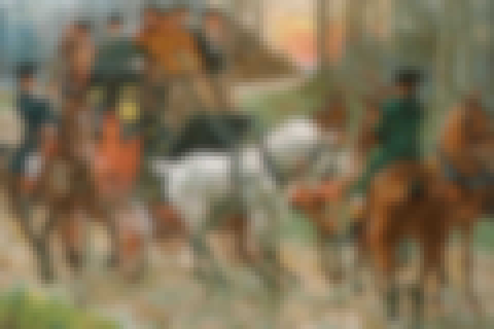 Landevejsrøveri