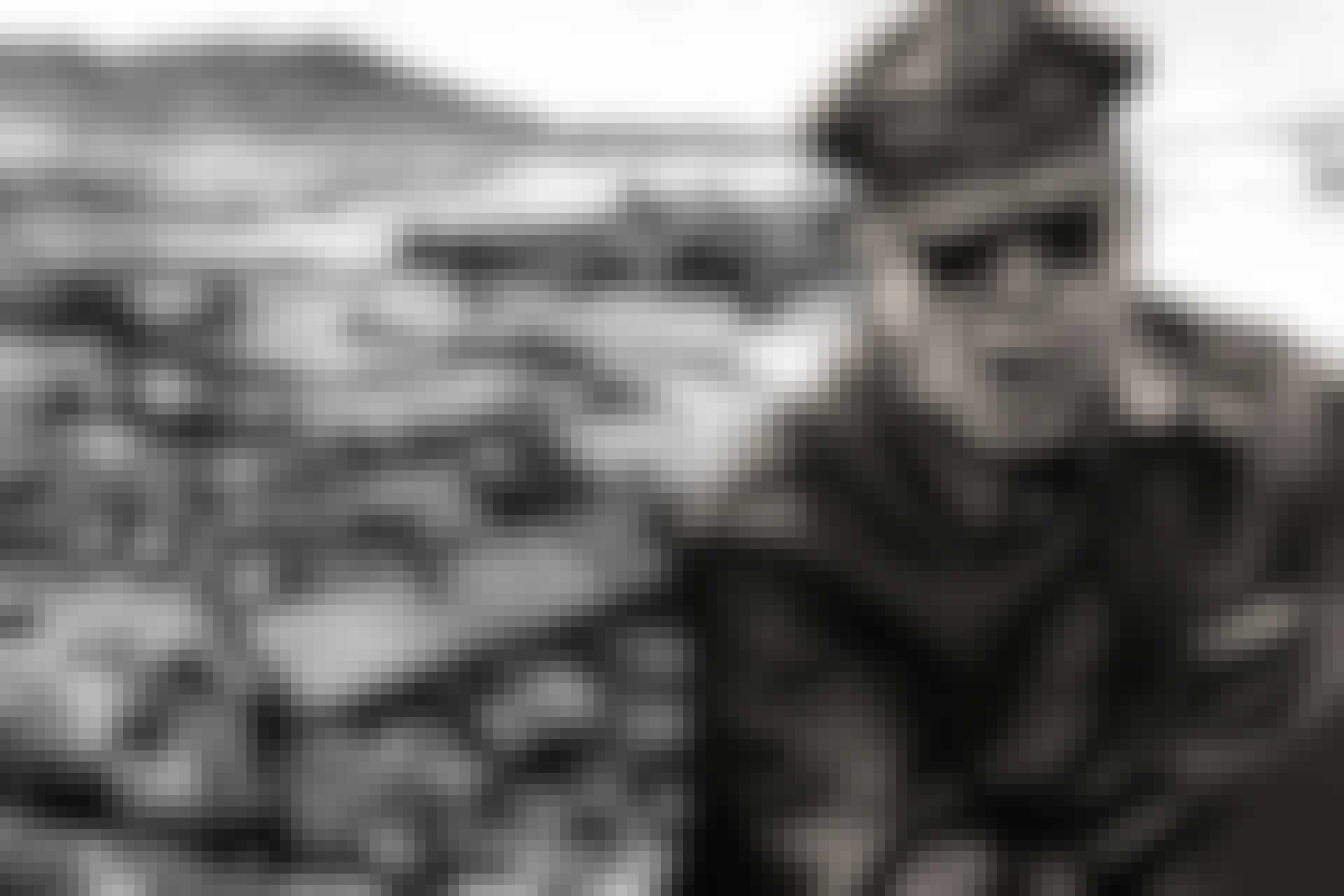 Douglas MacArthur