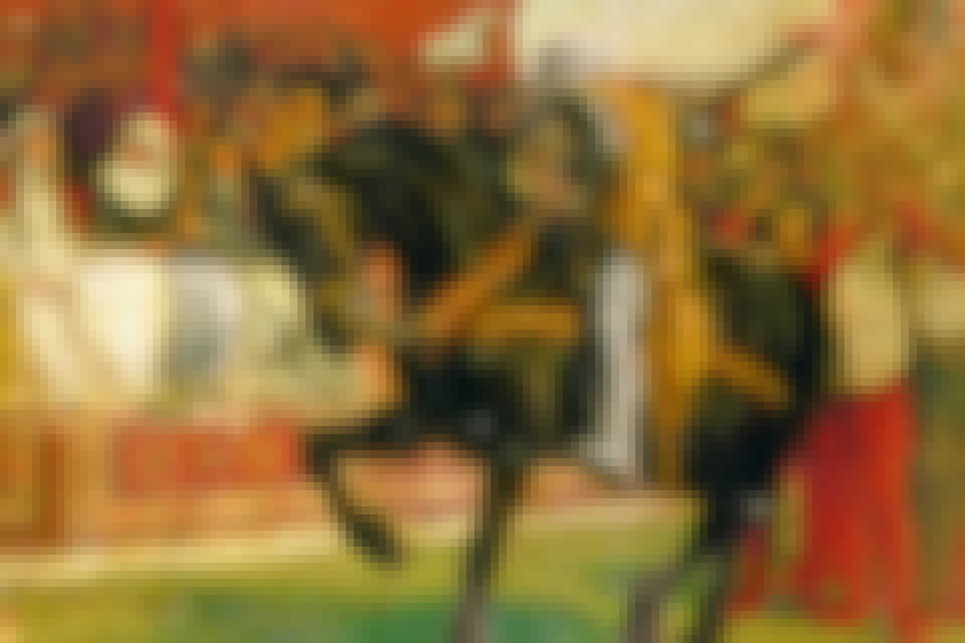 29076