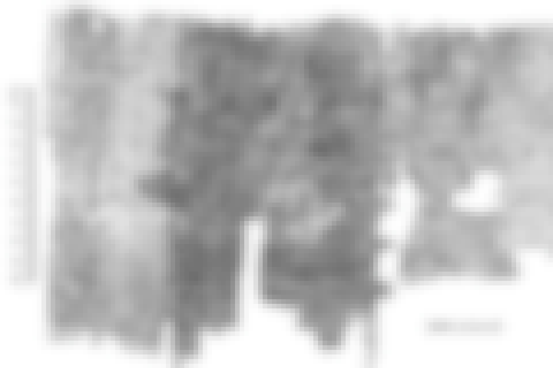 Egyptisk papyrus
