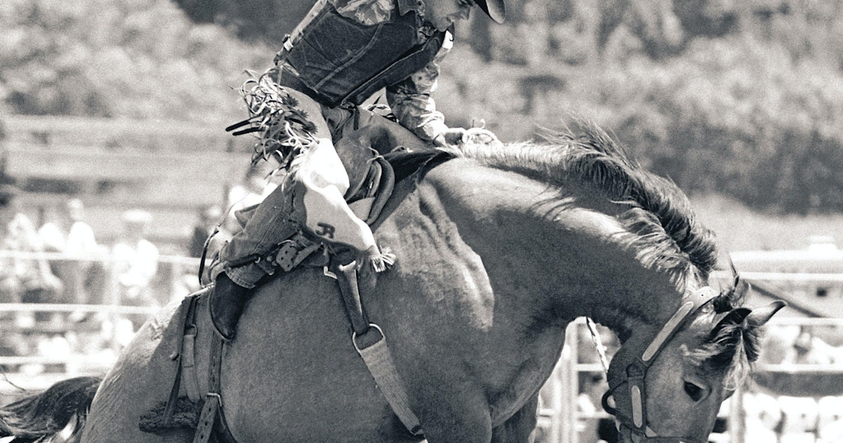 Når begynte cowboyer å ri rodeo? | historienet.no