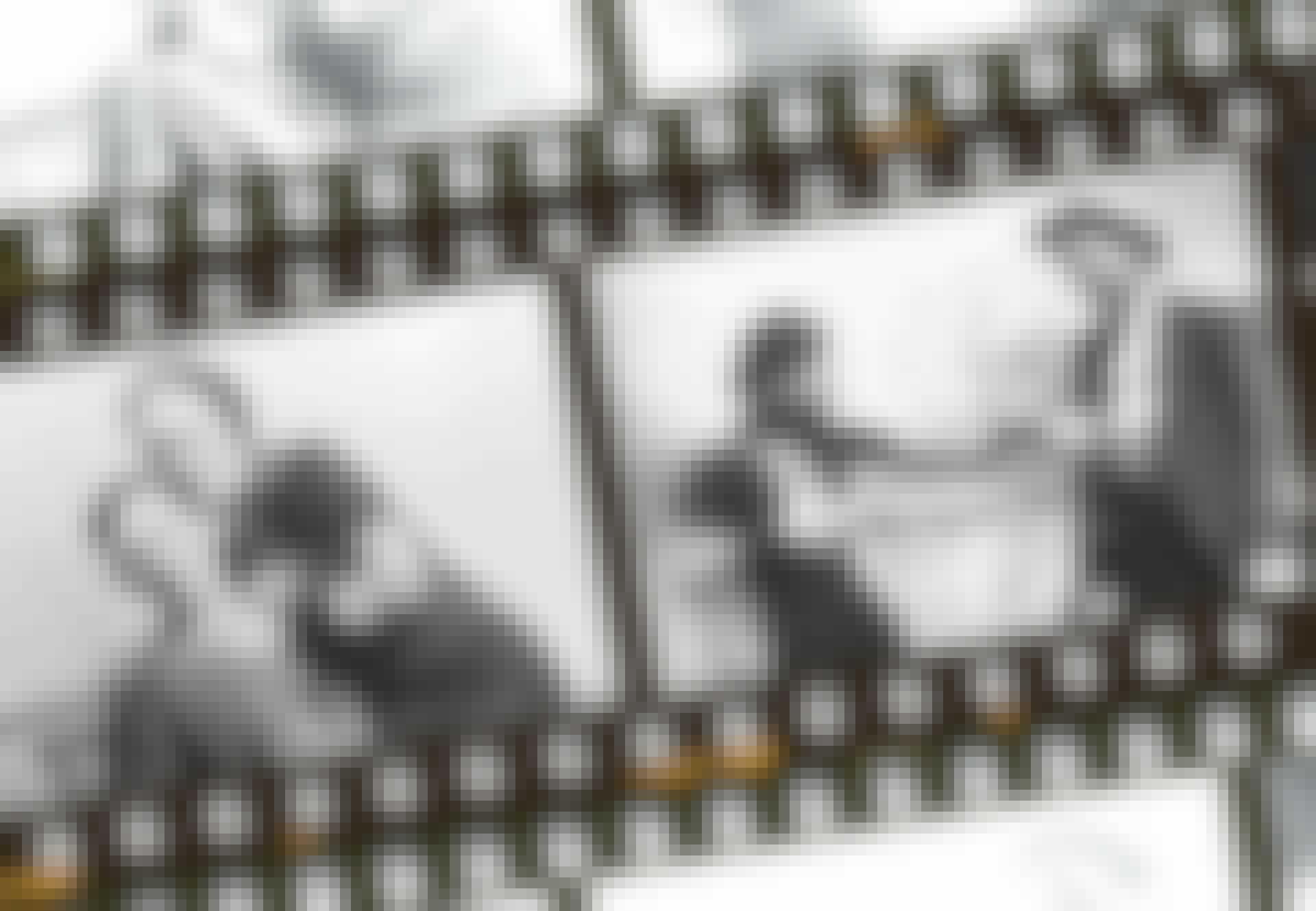 bonnie_clyde_topbillede-bn-r115cxydjcyngrumjtq