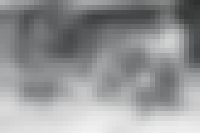 Den firbenede filmstjerne Den firbenede filmstjerne