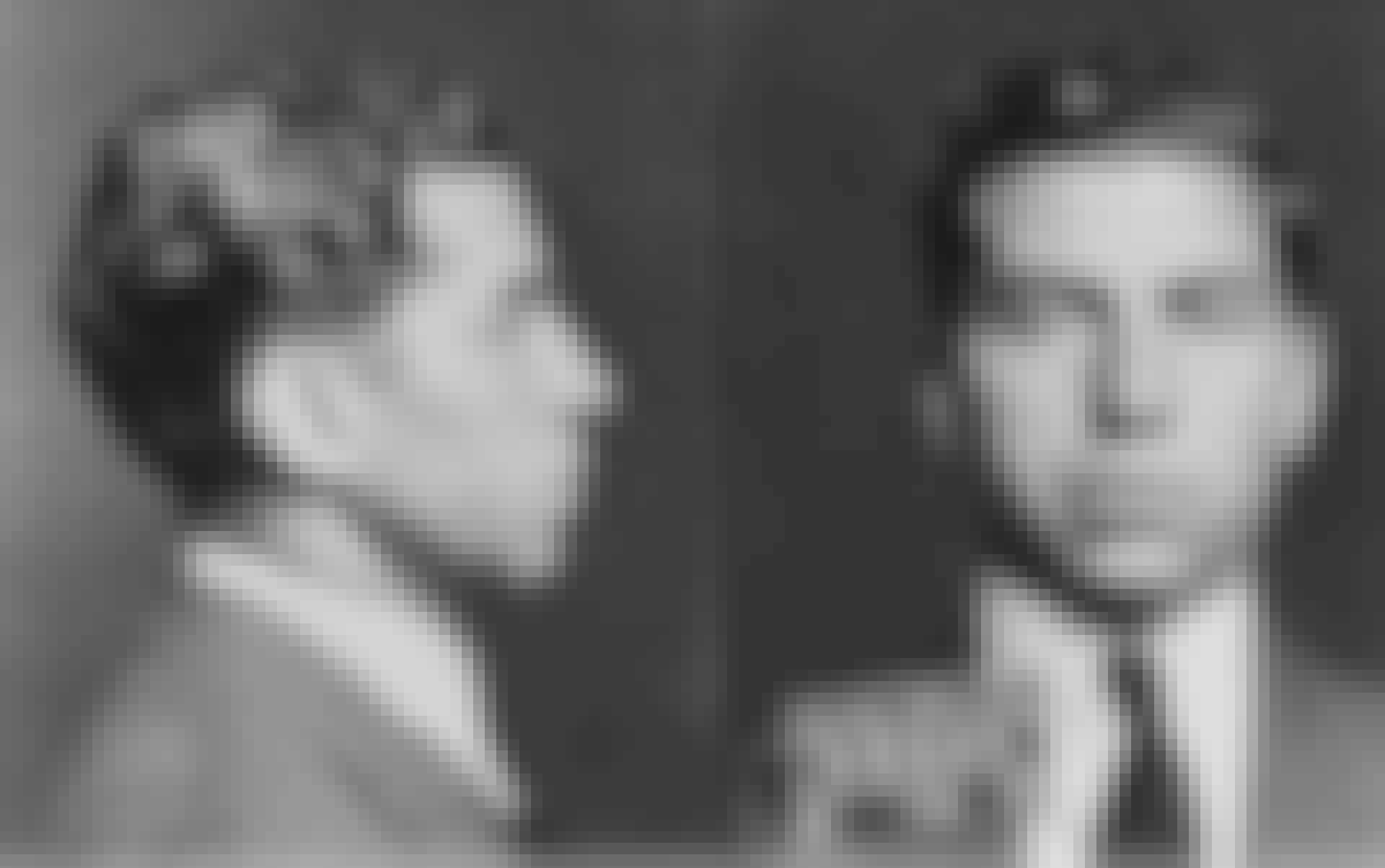 Den amerikanske mafia