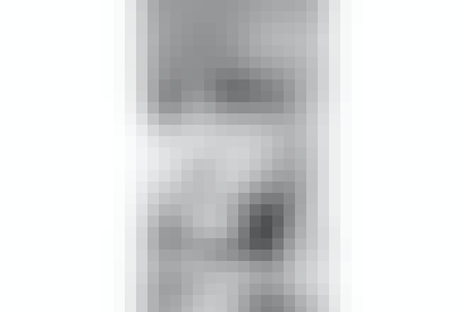 Ansigtet Ansigtet