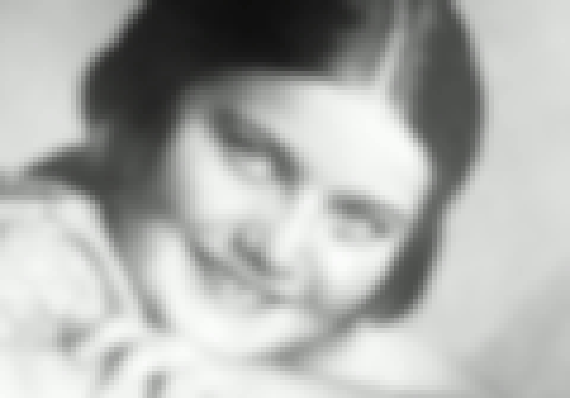 Renia Spiegel Renia Spiegel