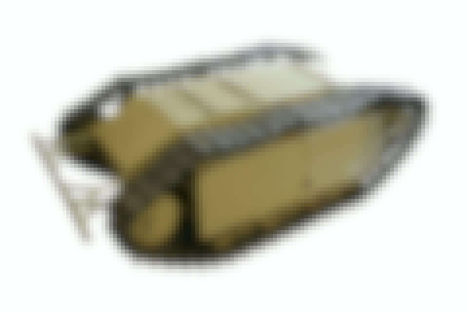 Goliath, Leichter Ladungsträger SdKfz 302, en tysk styrbar bomb på larvfötter.