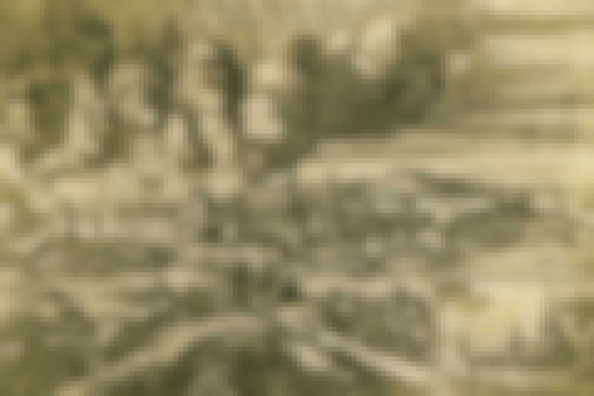 Översiktsbild över slottsbranden på slottet Tre kronor 1697.
