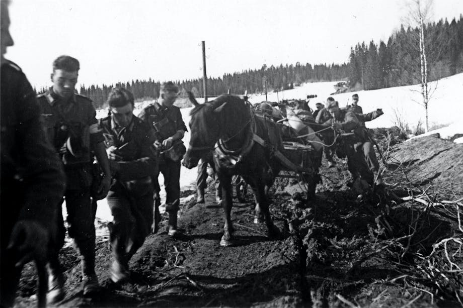 Tog hästar från lokalbefolkningen Tog hästar från lokalbefolkningen