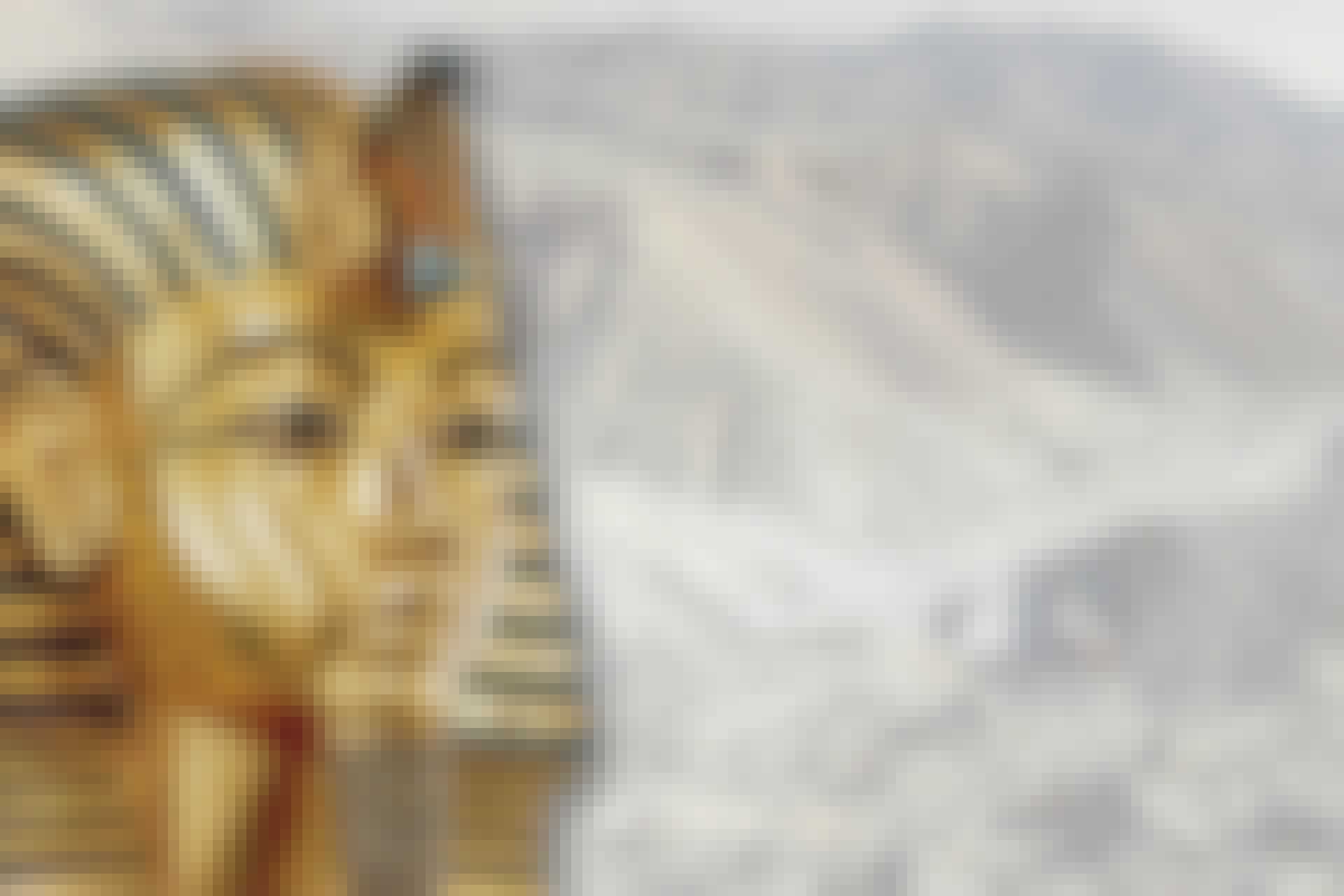 Den guldmask farao Tutankhamun begravdes med.
