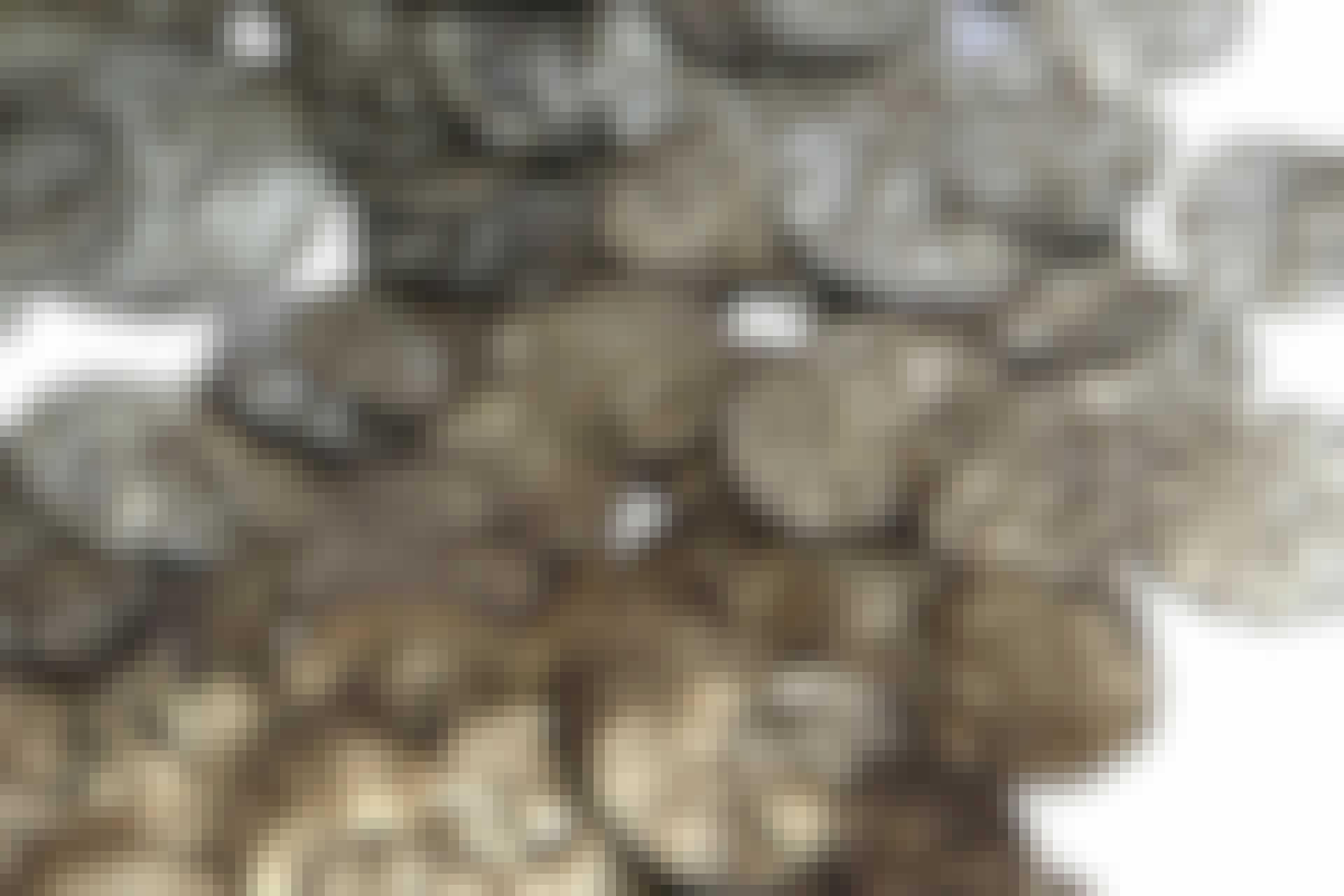 Hidden silver Hidden silver