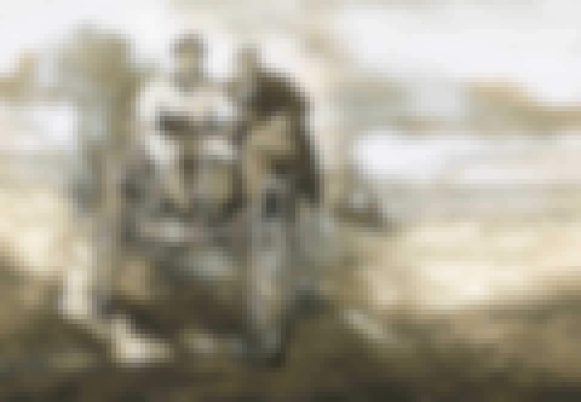 They Made Headlines: Birth of the Motor Car