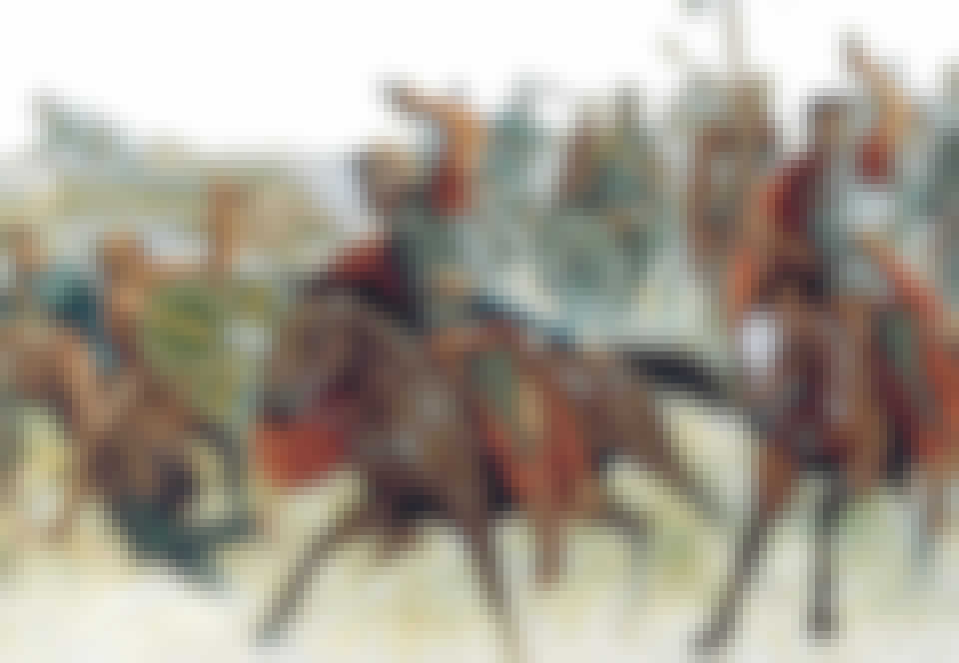 Tysk Romerska Riket Tidslinje: Romerska riket | varldenshistoria.se