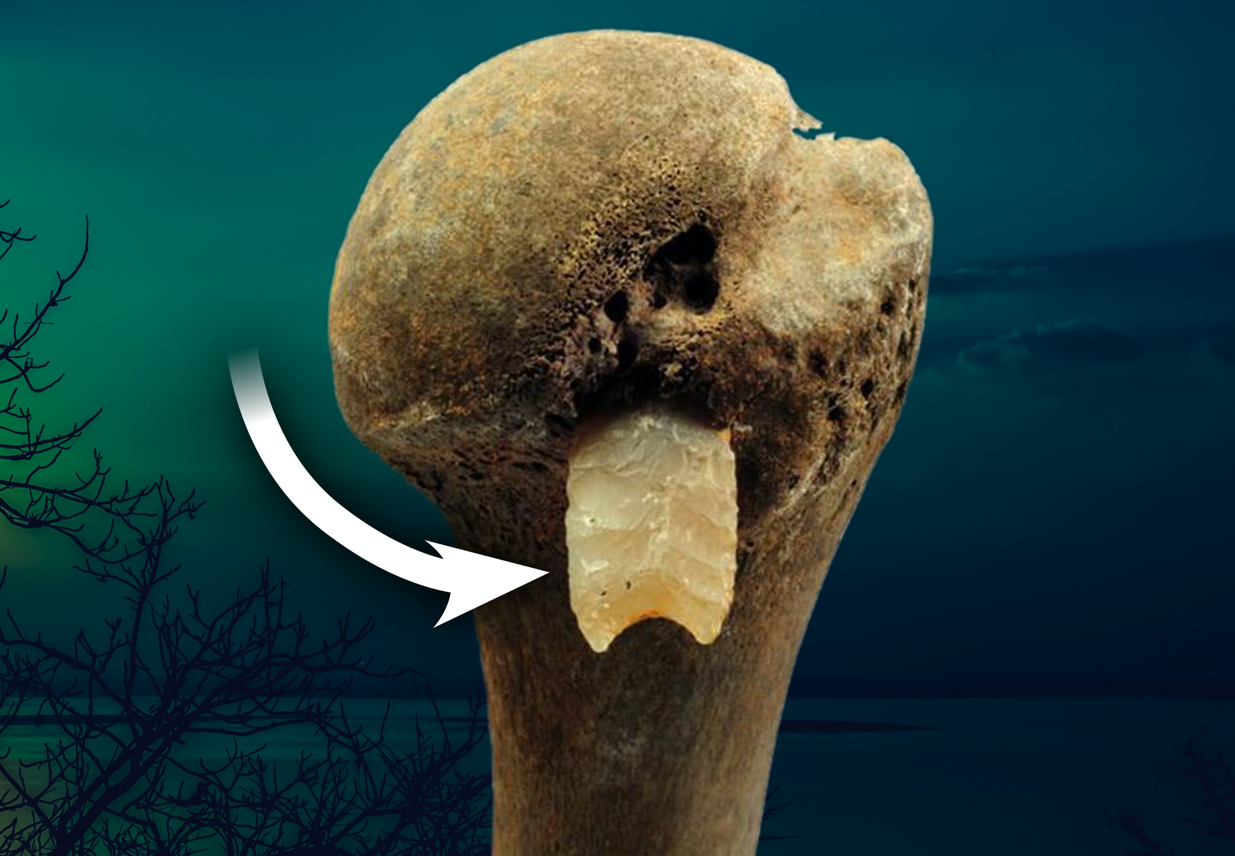två sätt att datera fossil och förklara både