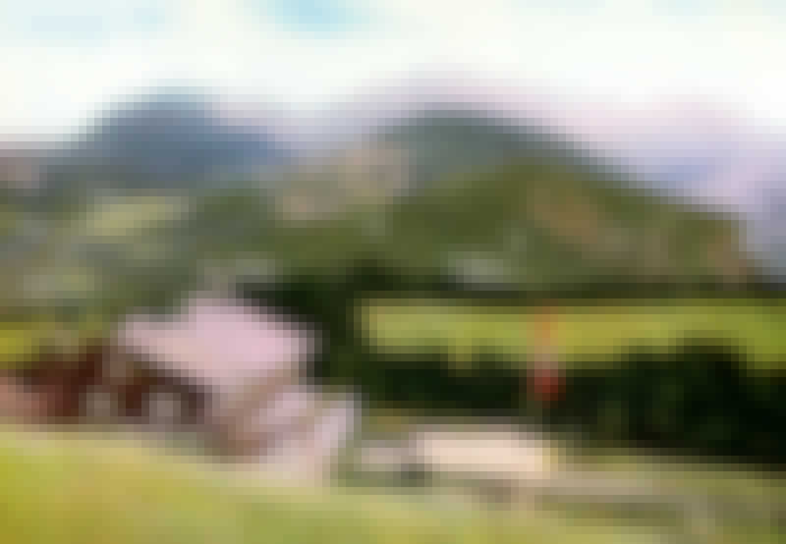 Berghof vuorimaisemassa Berghof vuorimaisemassa