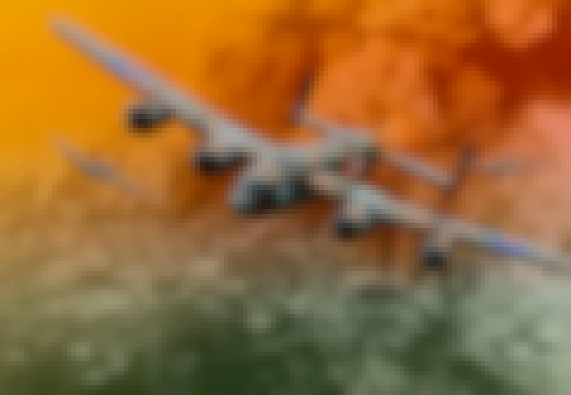 hamborg_bomber_top