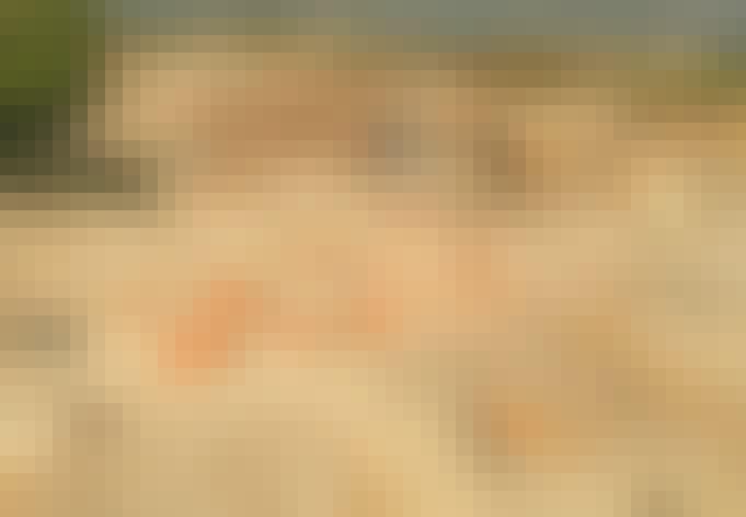 Karthago, romare, Sicilien Karthago, romare, Sicilien