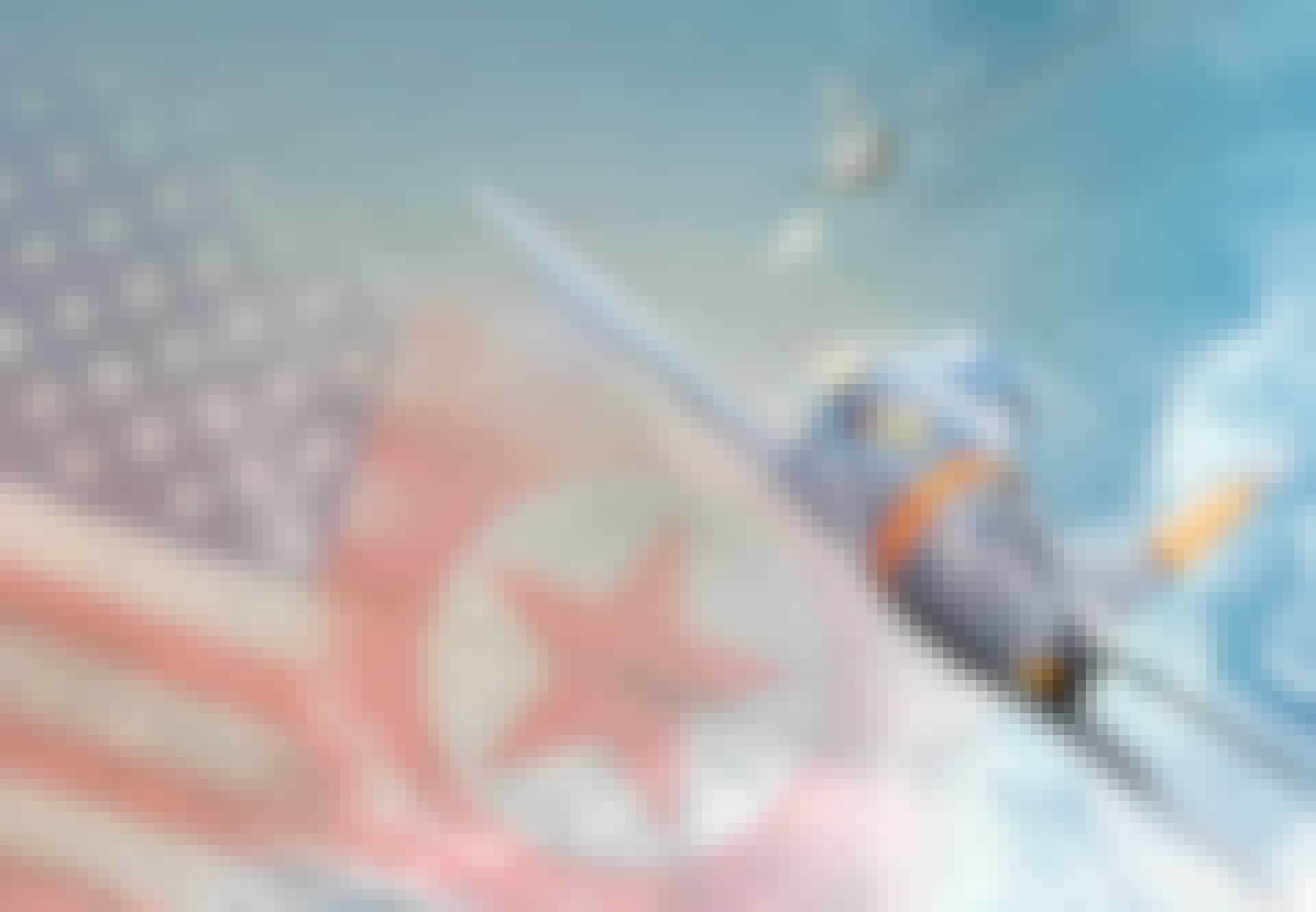 plane_lead