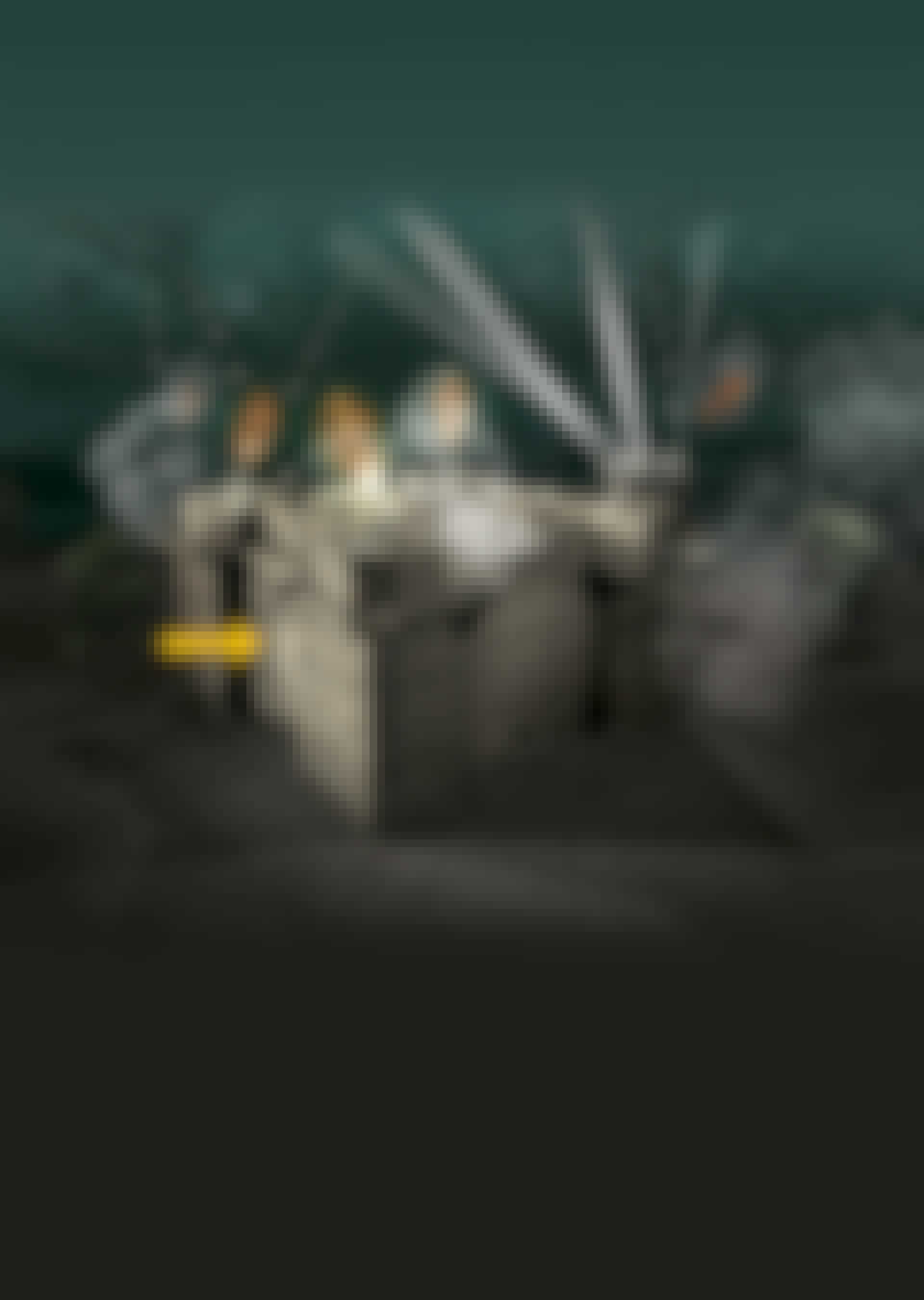 flak tower hospital triage flak tower hospital triage