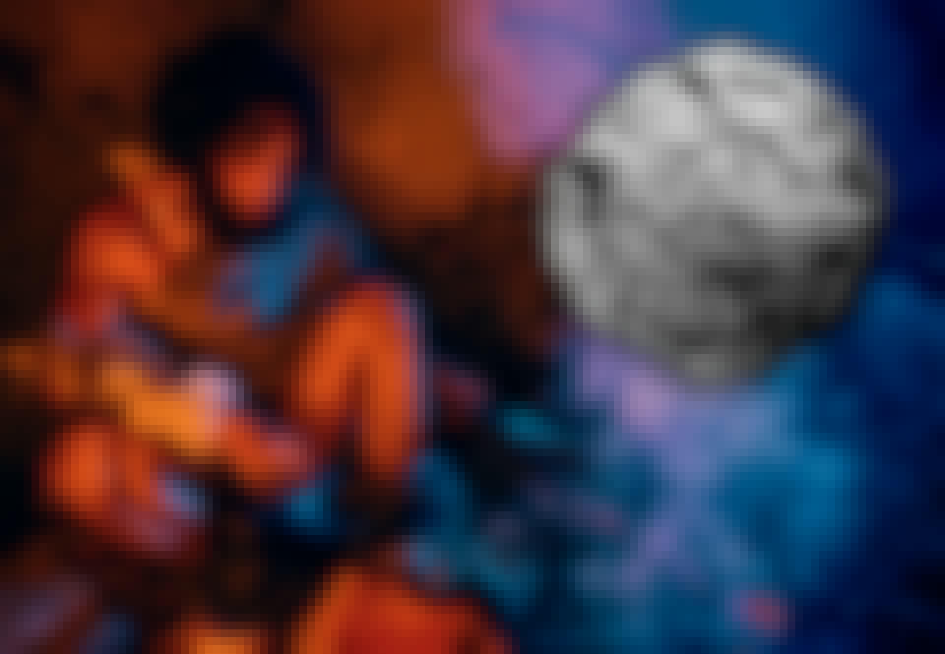 rhizome_teaser