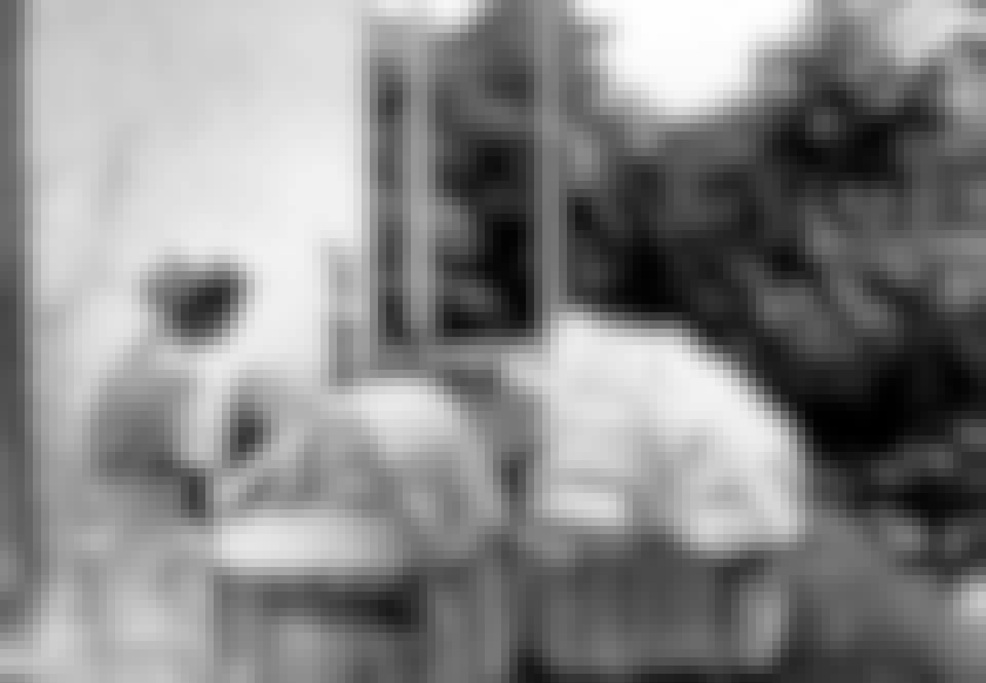 lebensborn_top