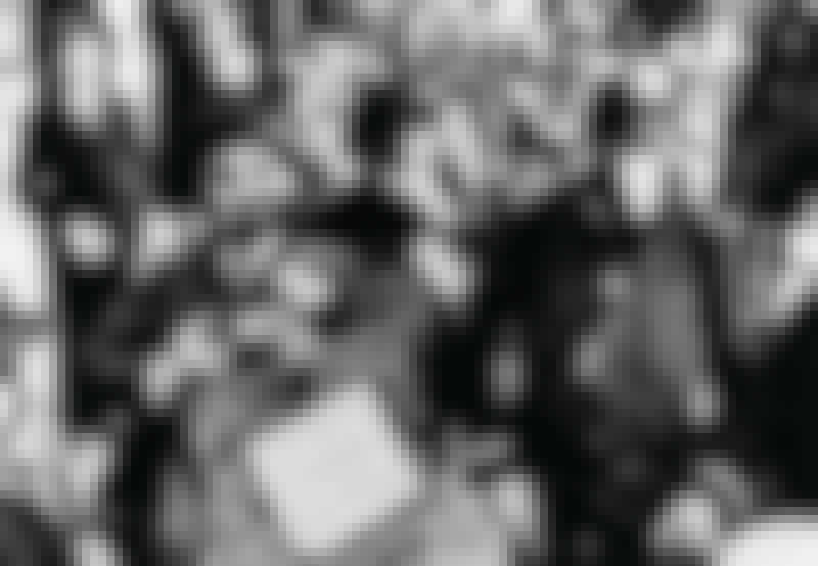 germans celebrating expulsion of jews germans celebrating expulsion of jews