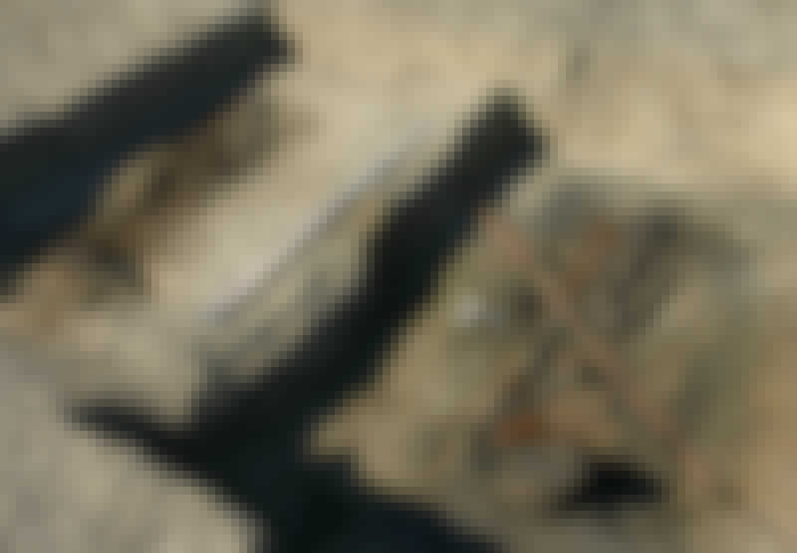 Cieple vikingegrav Cieple vikingegrav
