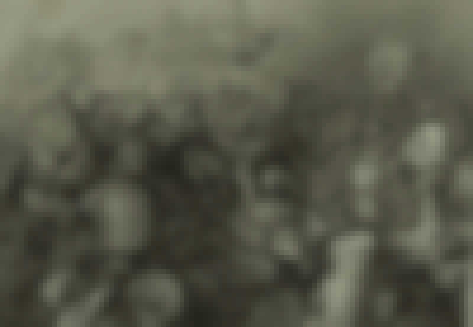 Cortes azteker Cortes azteker