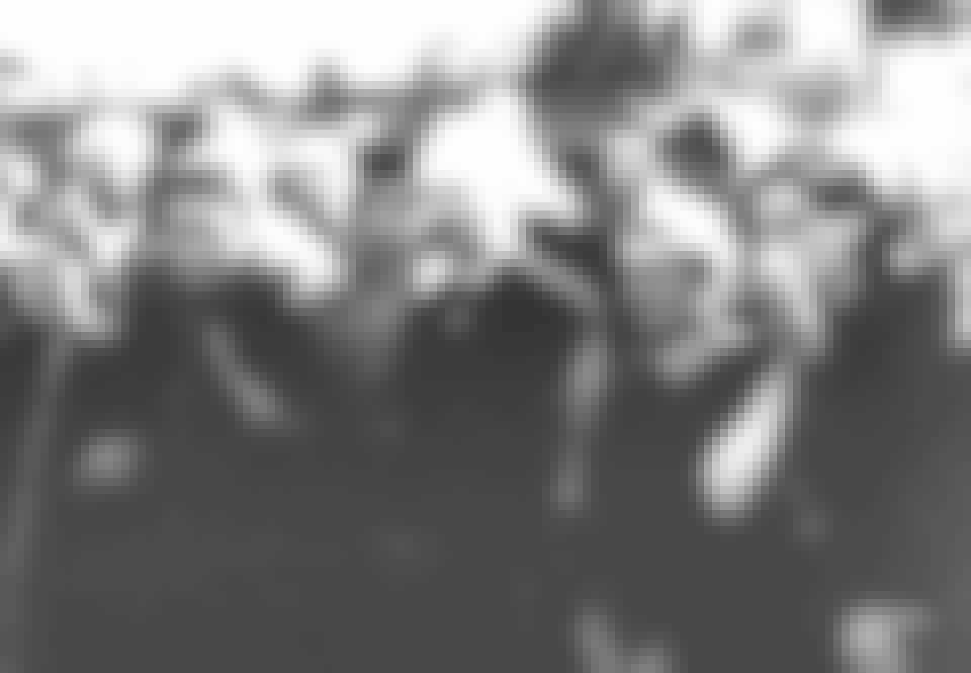 video-18-buchenwald-tour