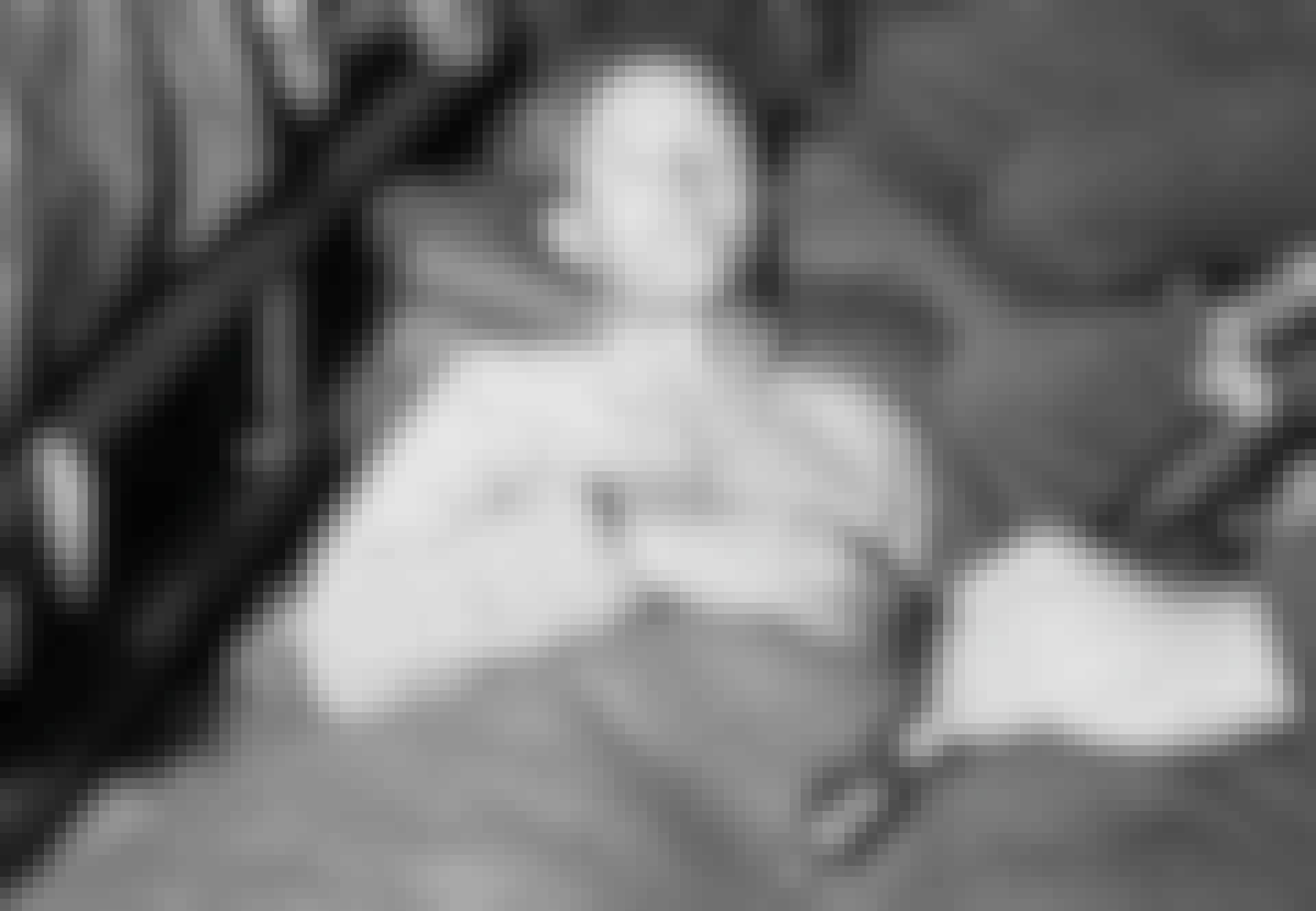 THE CAPTURE OF WILLIAM JOYCE, GERMANY, 1945 Lord Haw Haw William Joyce