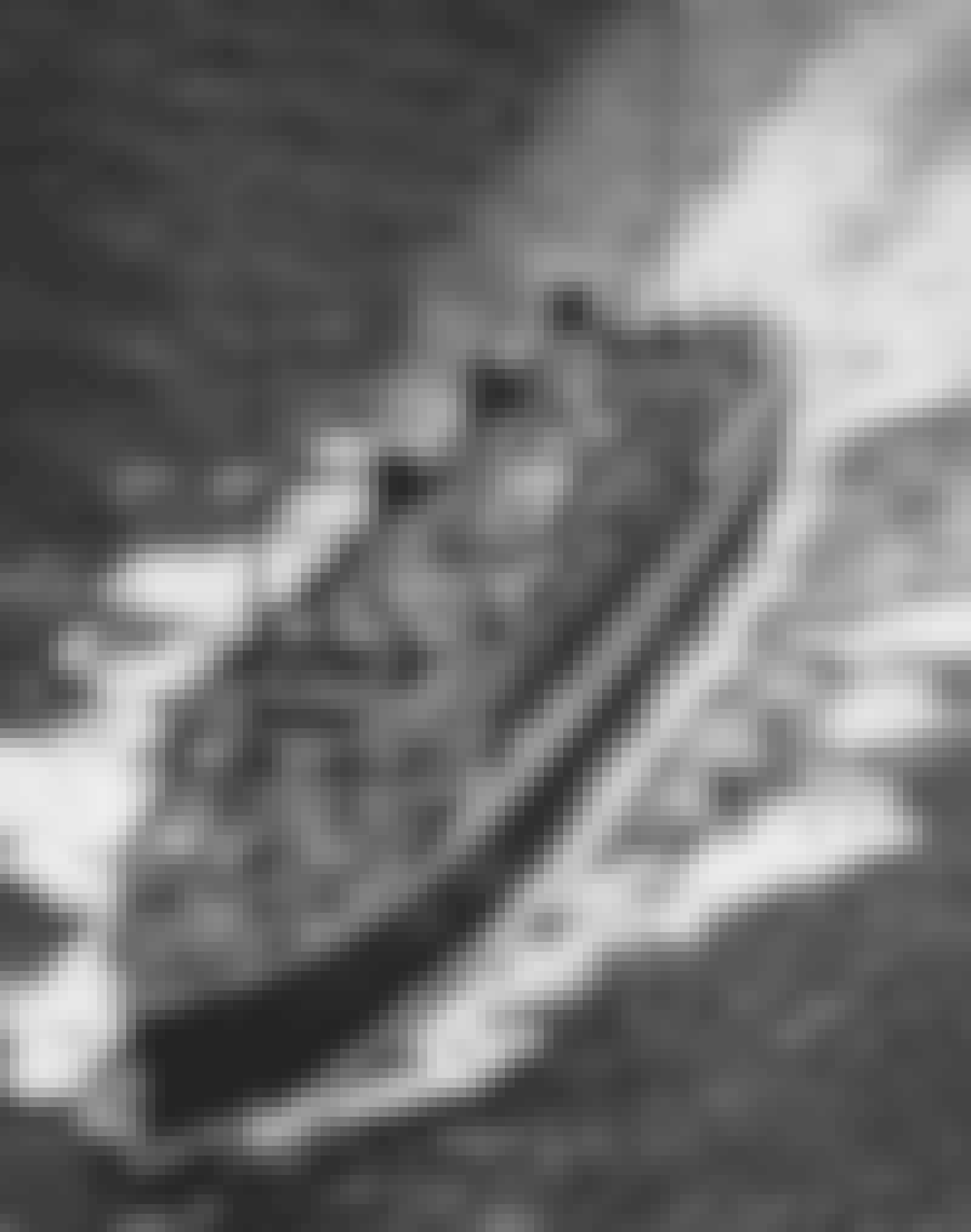 cap arcona concentration camp steamer disaster bombing cap arcona concentration camp steamer disaster bombing