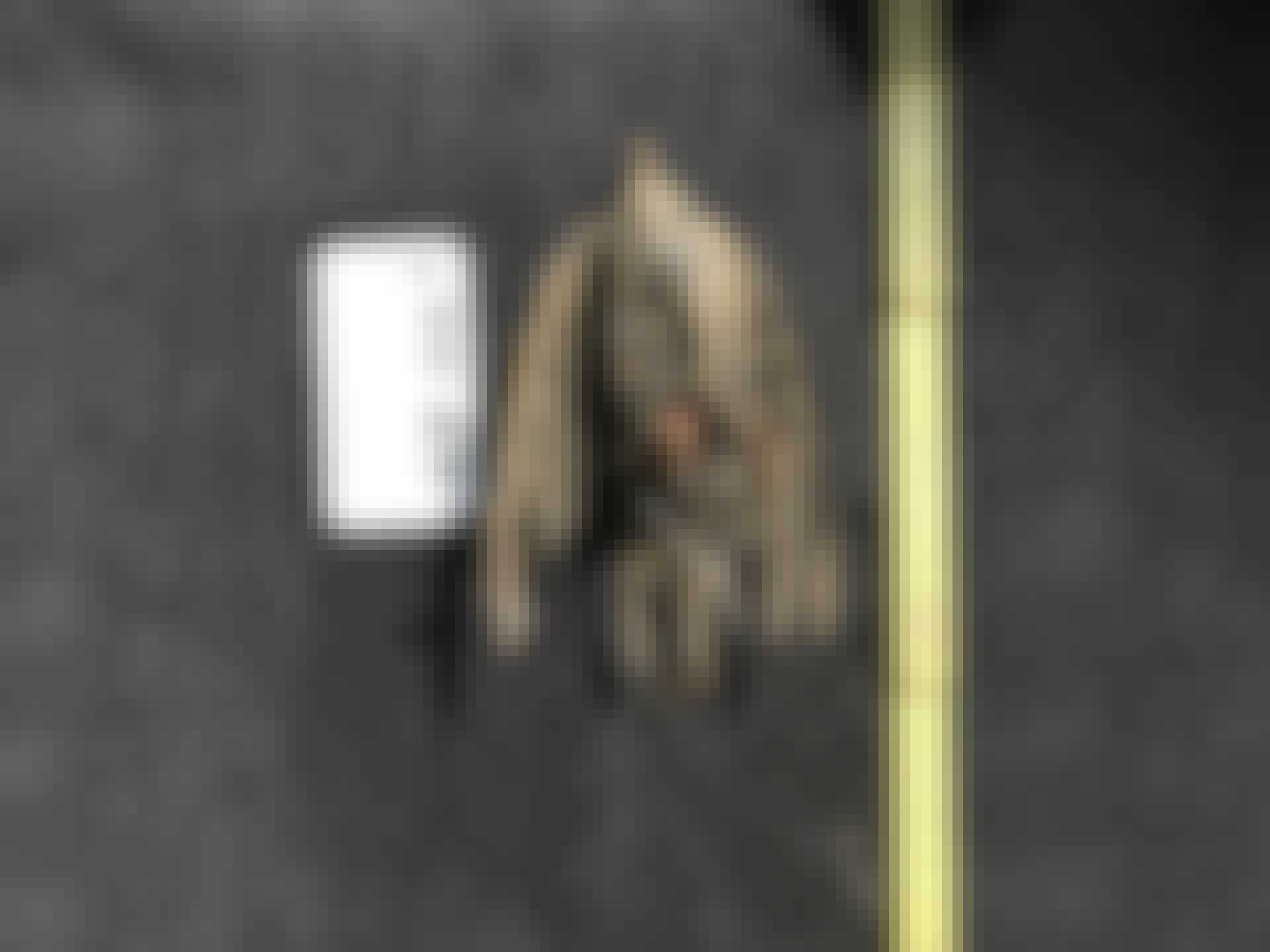 teaser_v2 lärka sibirien