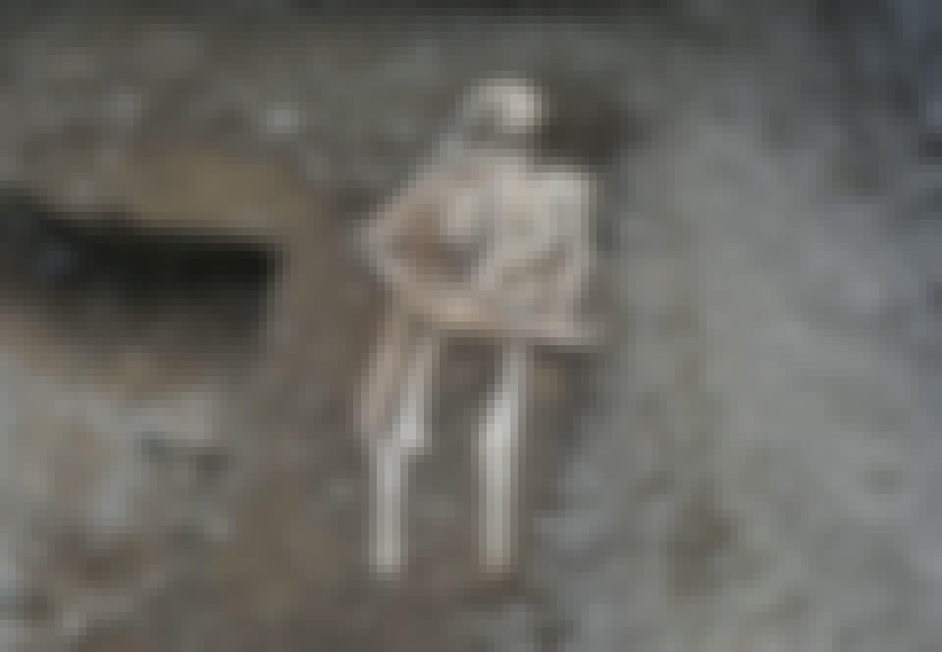 skelet_teaser