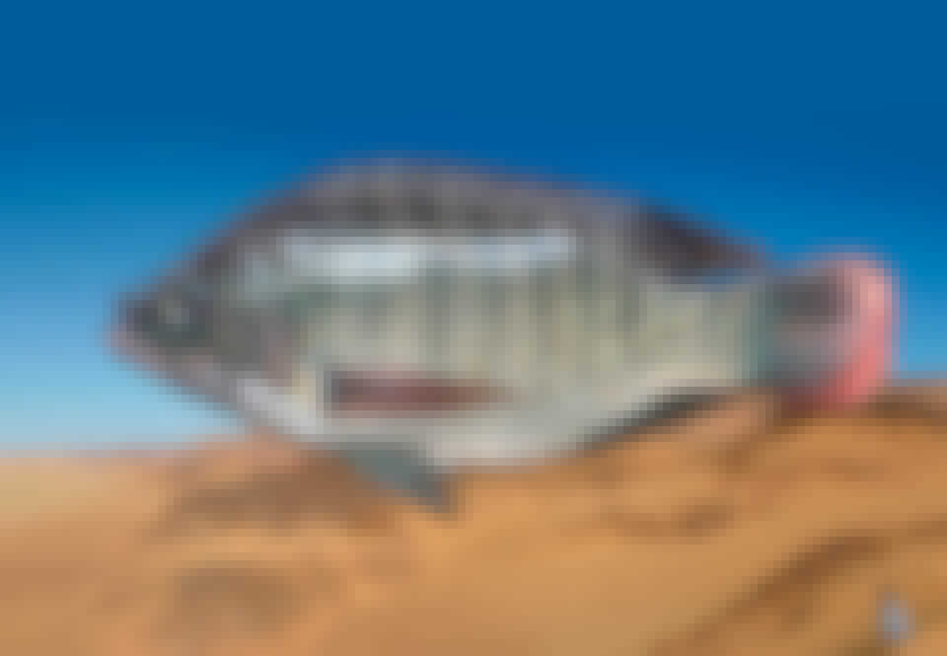saharasfisk_teaser Sahara fisk