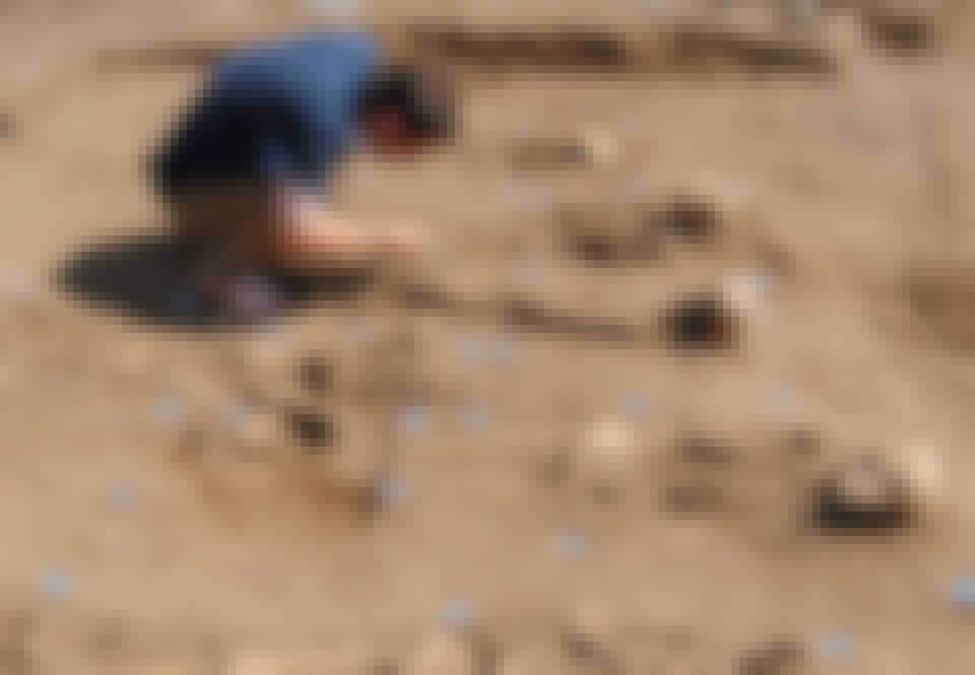 Pestgrav_teaser Lincolnshire pest massegrav kloster