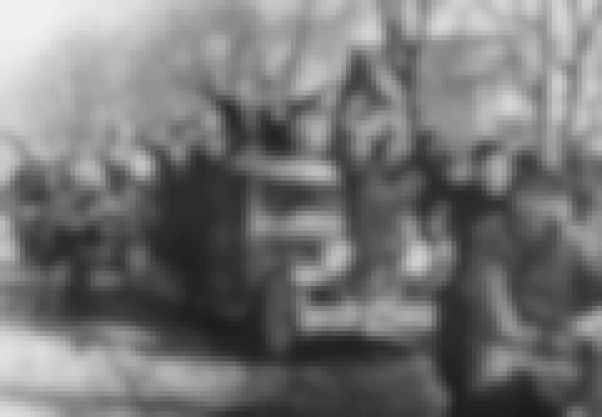Nationalist Socialist rally in Graz - Anschluss Østrig nazisme anschluss