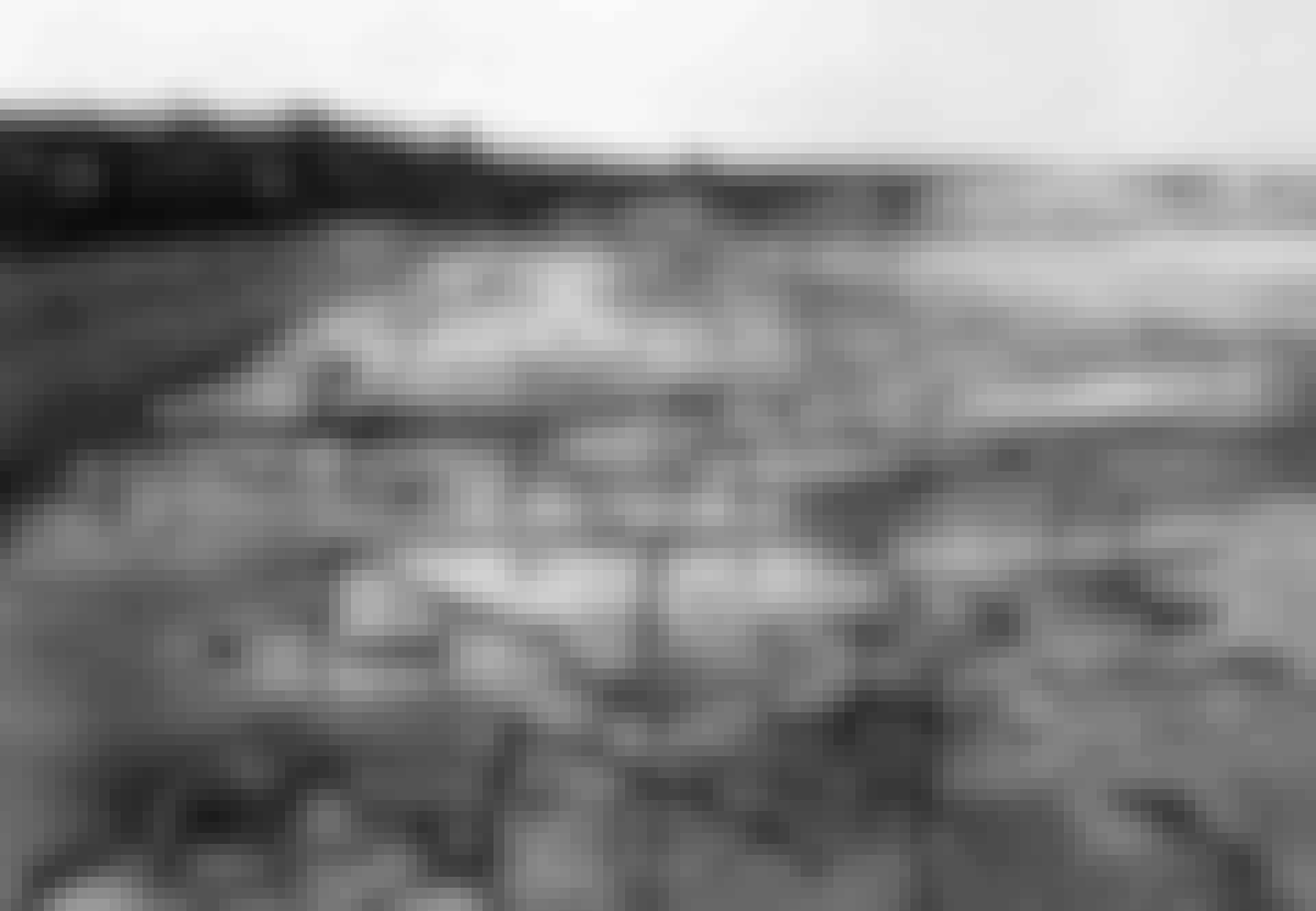 rommelsasparges_top