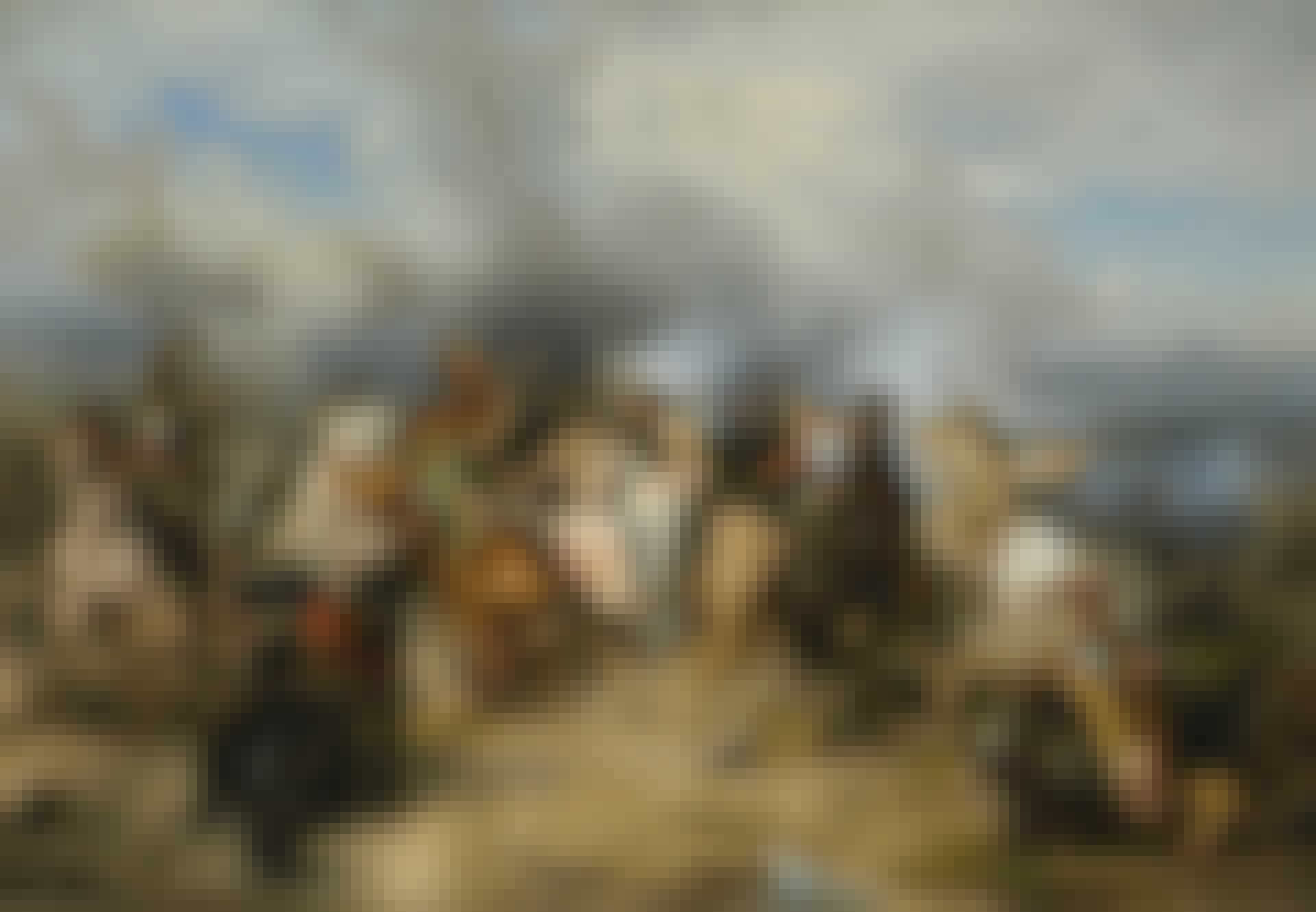 NM 1028