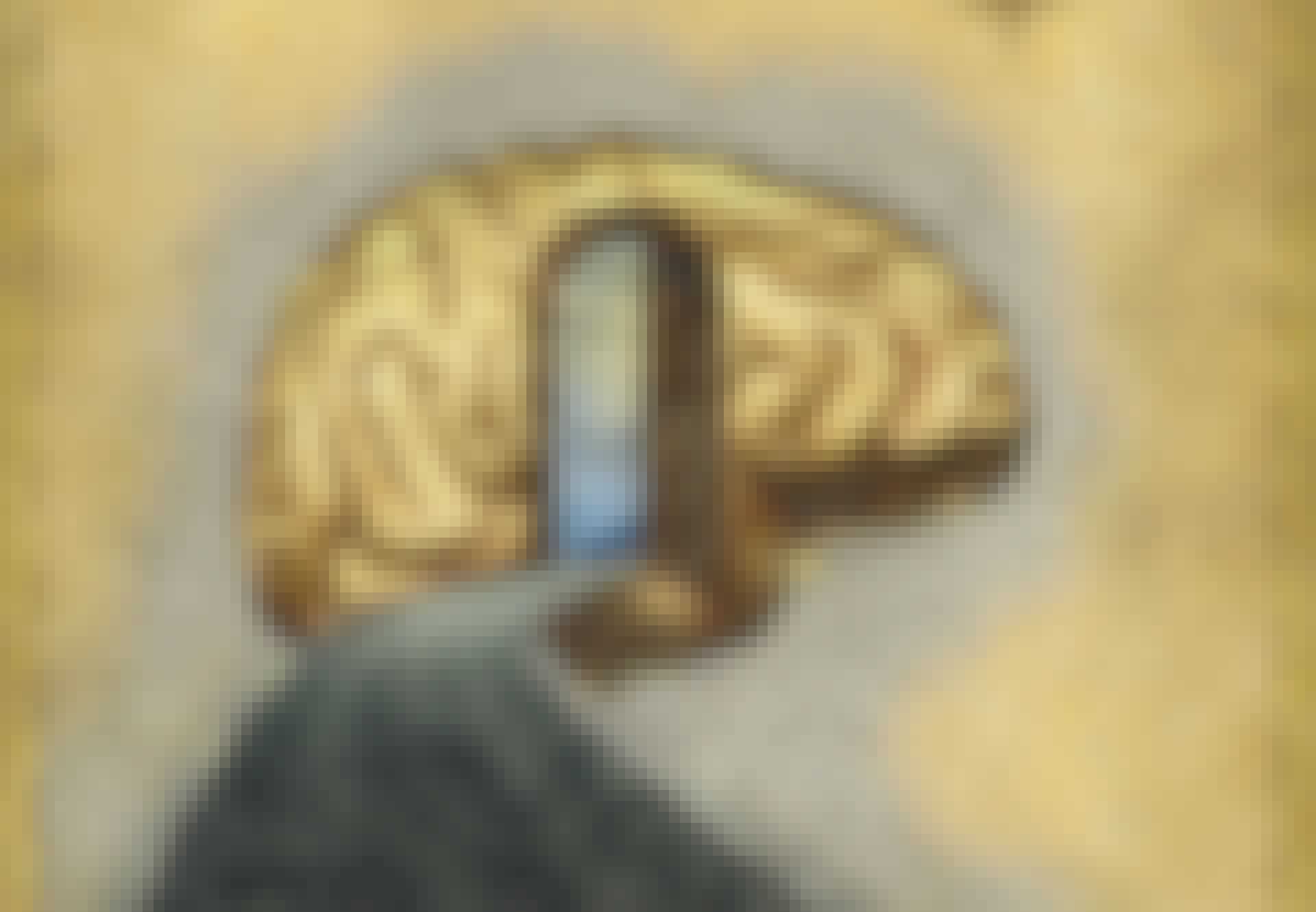 Hjerne psykologi historie Hjerne psykologi historie