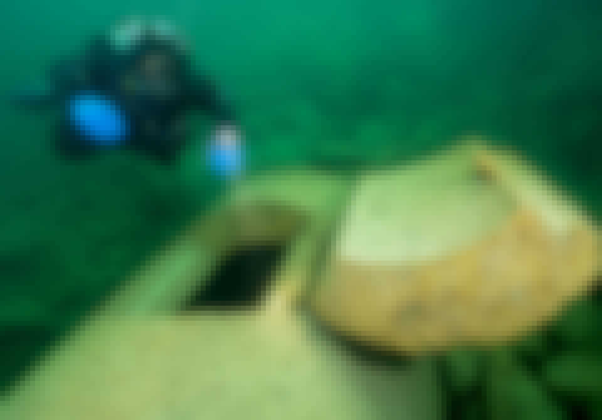 bunker nazister sjö bunker nazister sjö