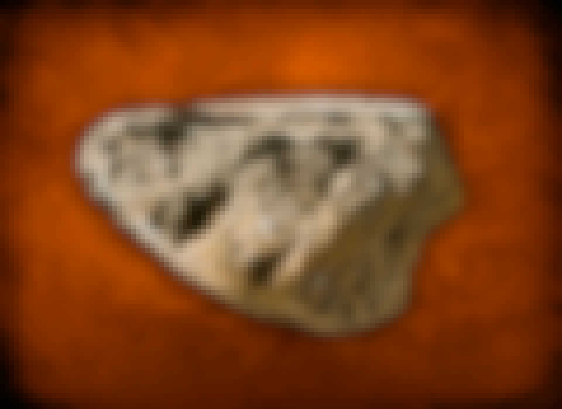 Nyhed_15_Smeltedigel_LeadImage