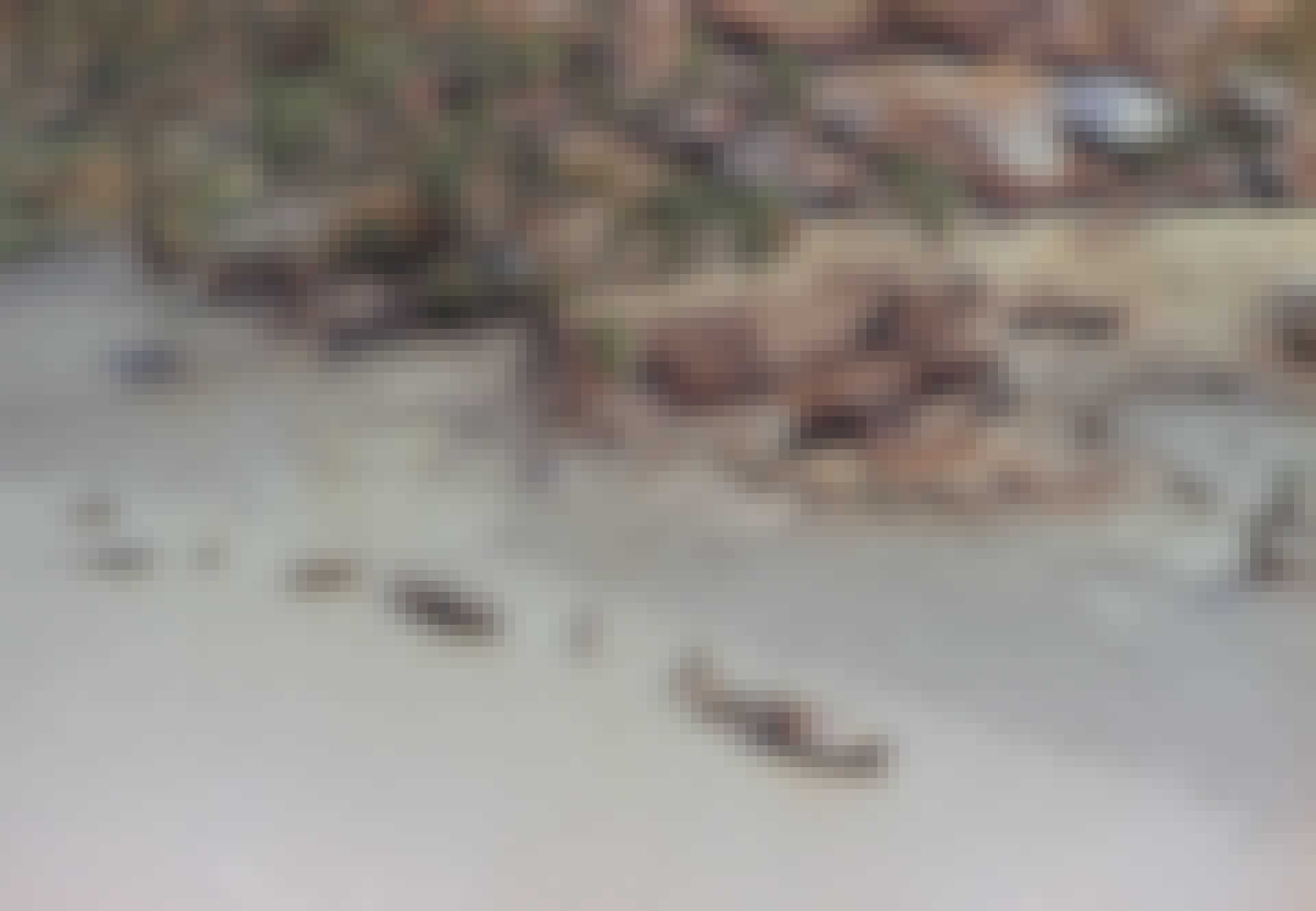 Cyklon_teaser