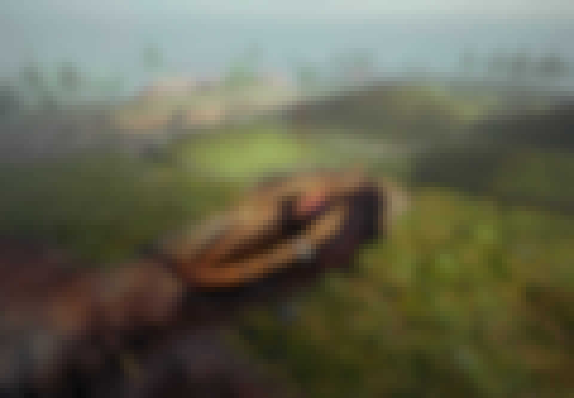 Nyhed17_Vikingeskib_lead Gjellestadschip, Vikingschip, grafheuvel