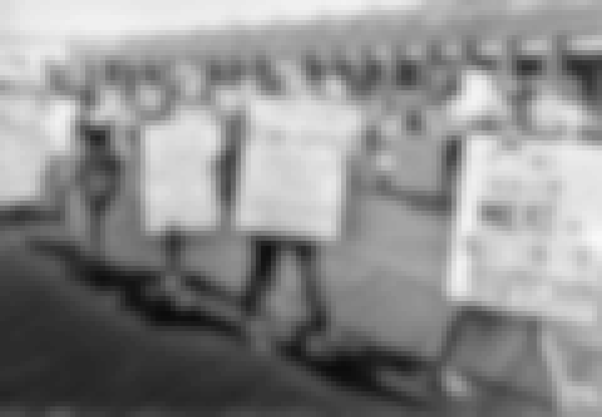 16_rødstrømpe_lead