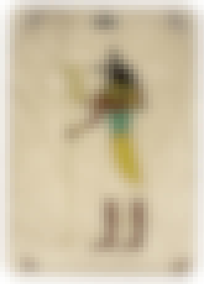 Den egyptiske guden Anubis Den egyptiske guden Anubis