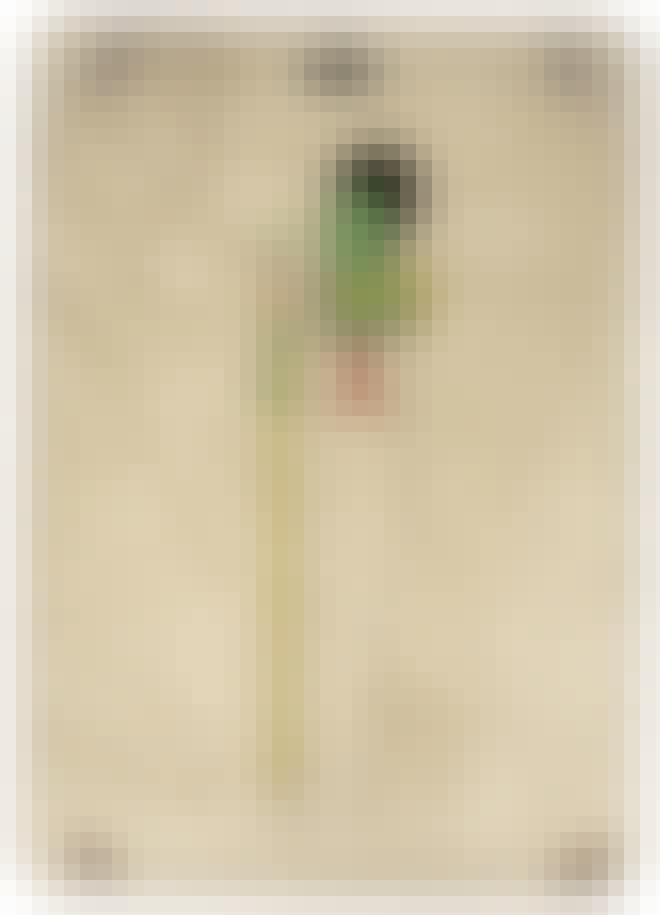 Den egyptiske guden Ptah Den egyptiske guden Ptah